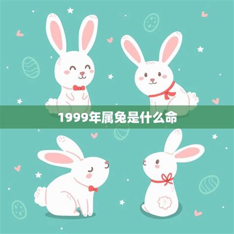 1999 五行|1999年属兔是什么命 1999年属兔人一生命运